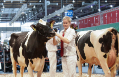 德國漢諾威畜牧業(yè)展覽會EUROTIER HANNOVER